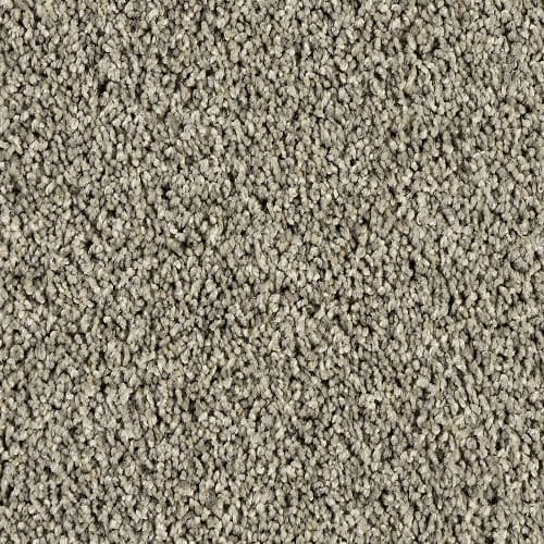 SFI Clever - 4661 Brainy